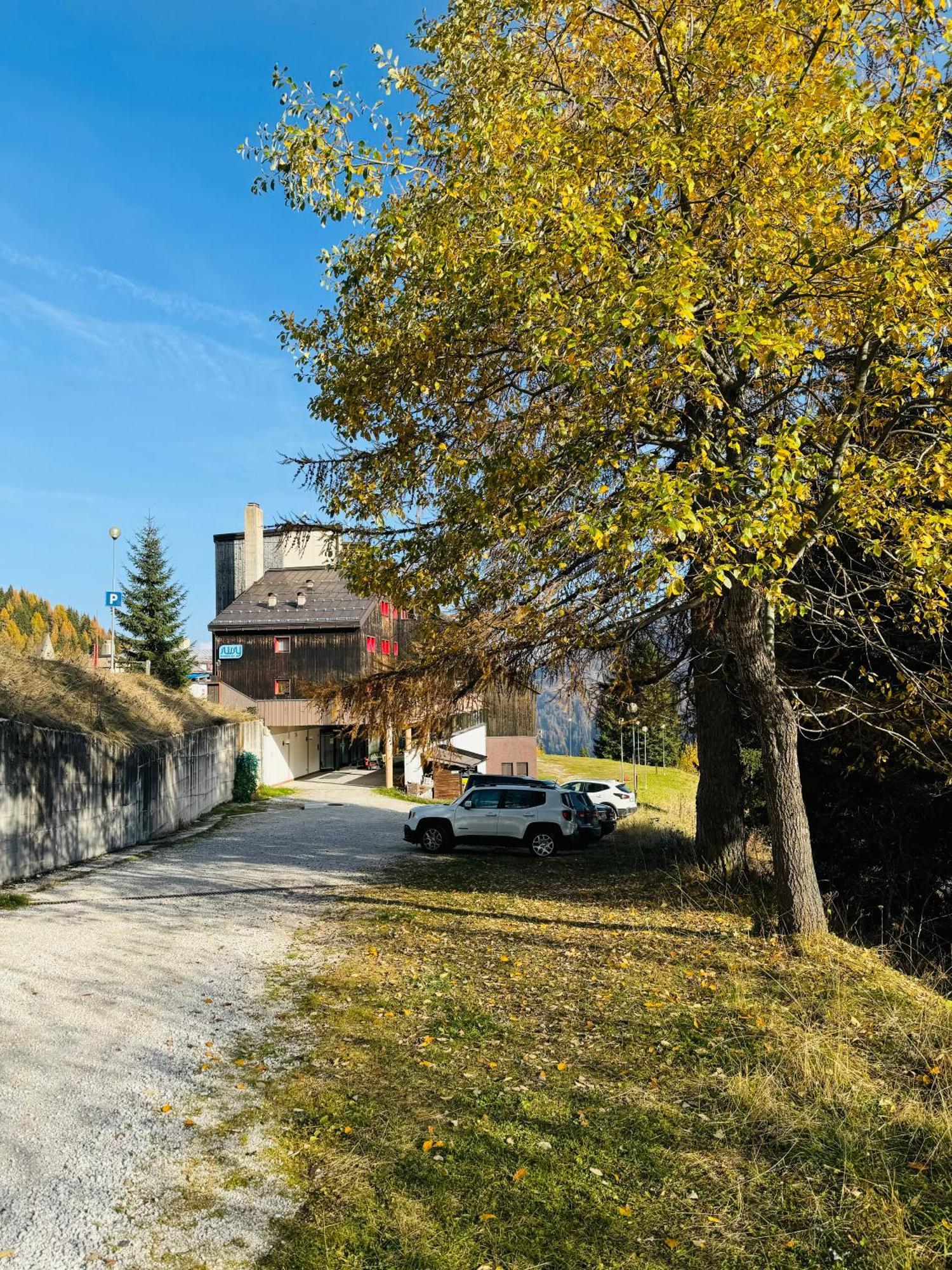 Il Cirmolo Delle Saline Apartamento Falcade Exterior foto